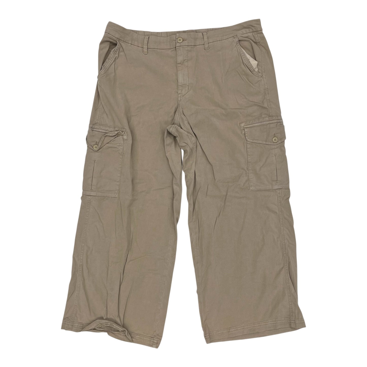 Pants Cargo & Utility By American Eagle In Brown, Size:20