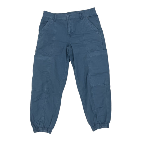 Pants Cargo & Utility By American Eagle In Blue, Size:8P