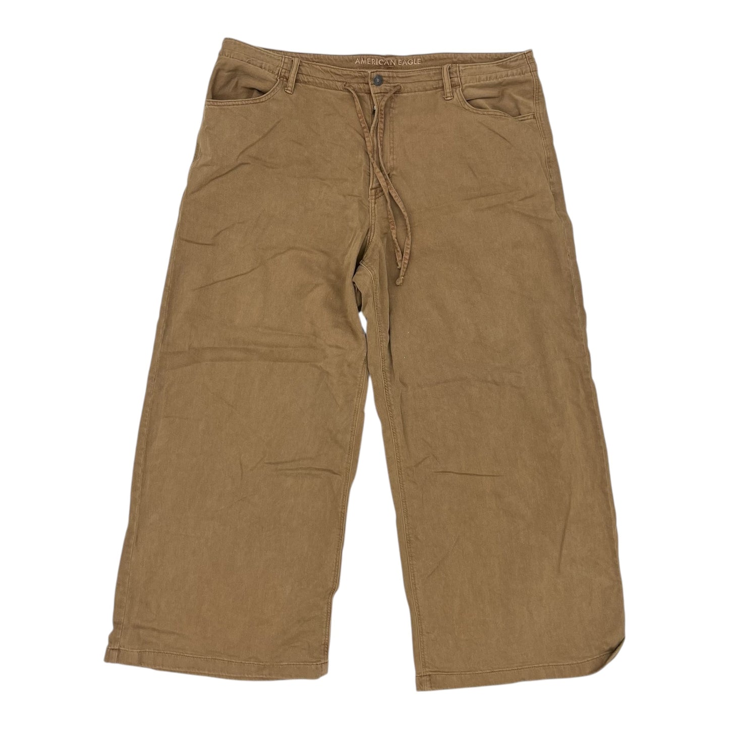 Pants Wide Leg By American Eagle In Brown, Size:20