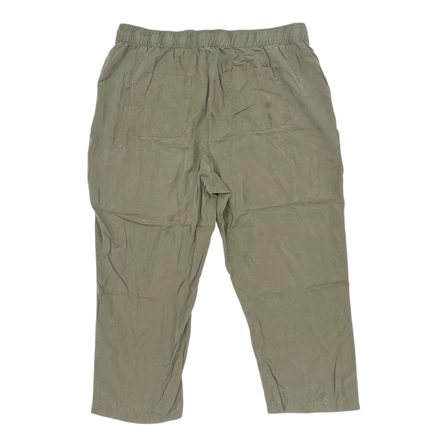 Pants Other By Workshop In Green, Size:2X