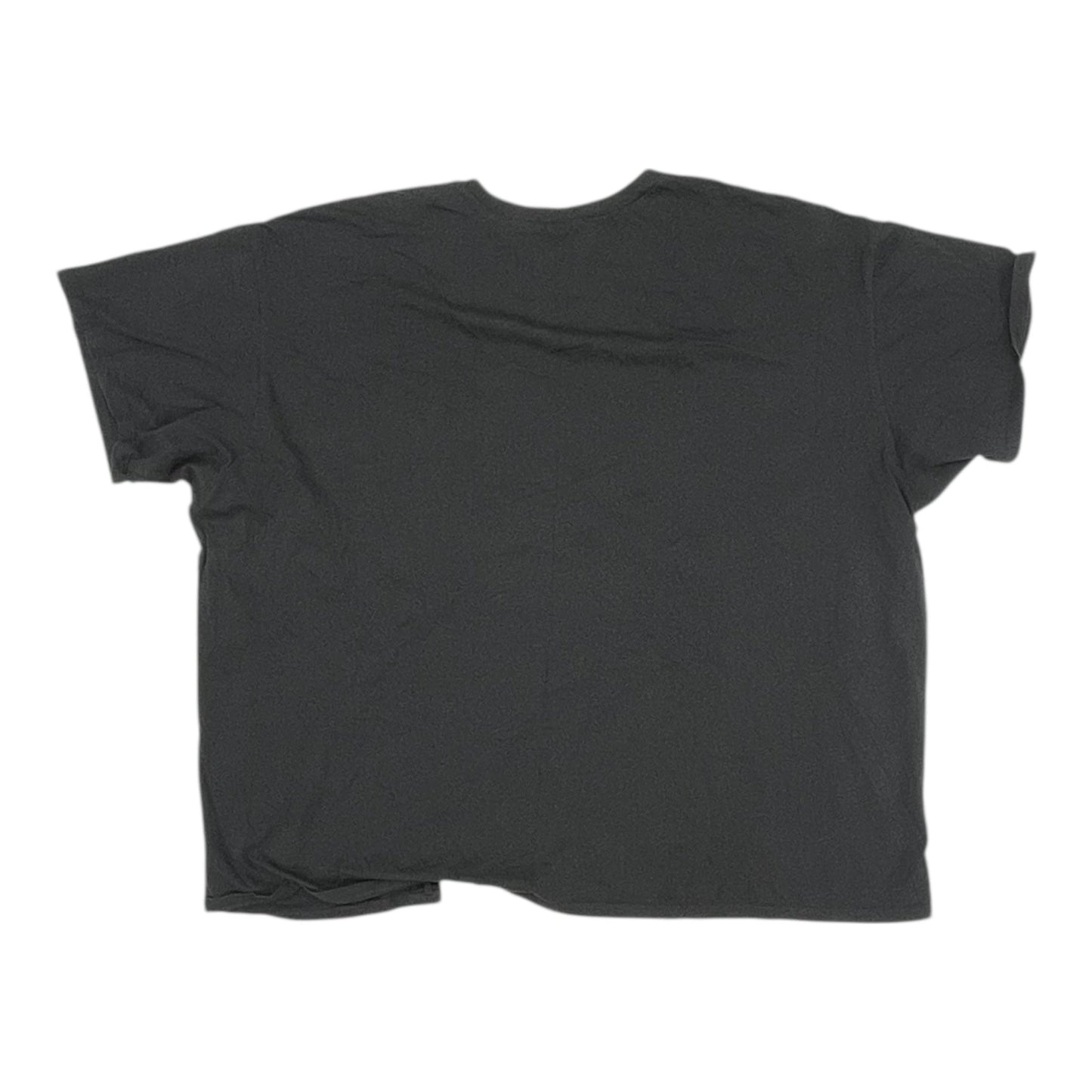 Top Ss By Torrid In Grey, Size:2X