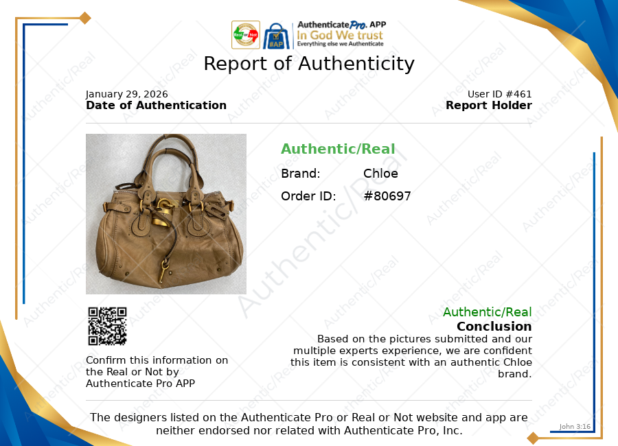 Handbag Luxury Designer By Chloe, Size: Medium