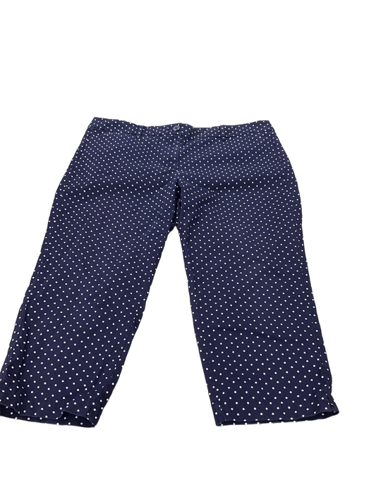 Capris By Loft  Size: 14p