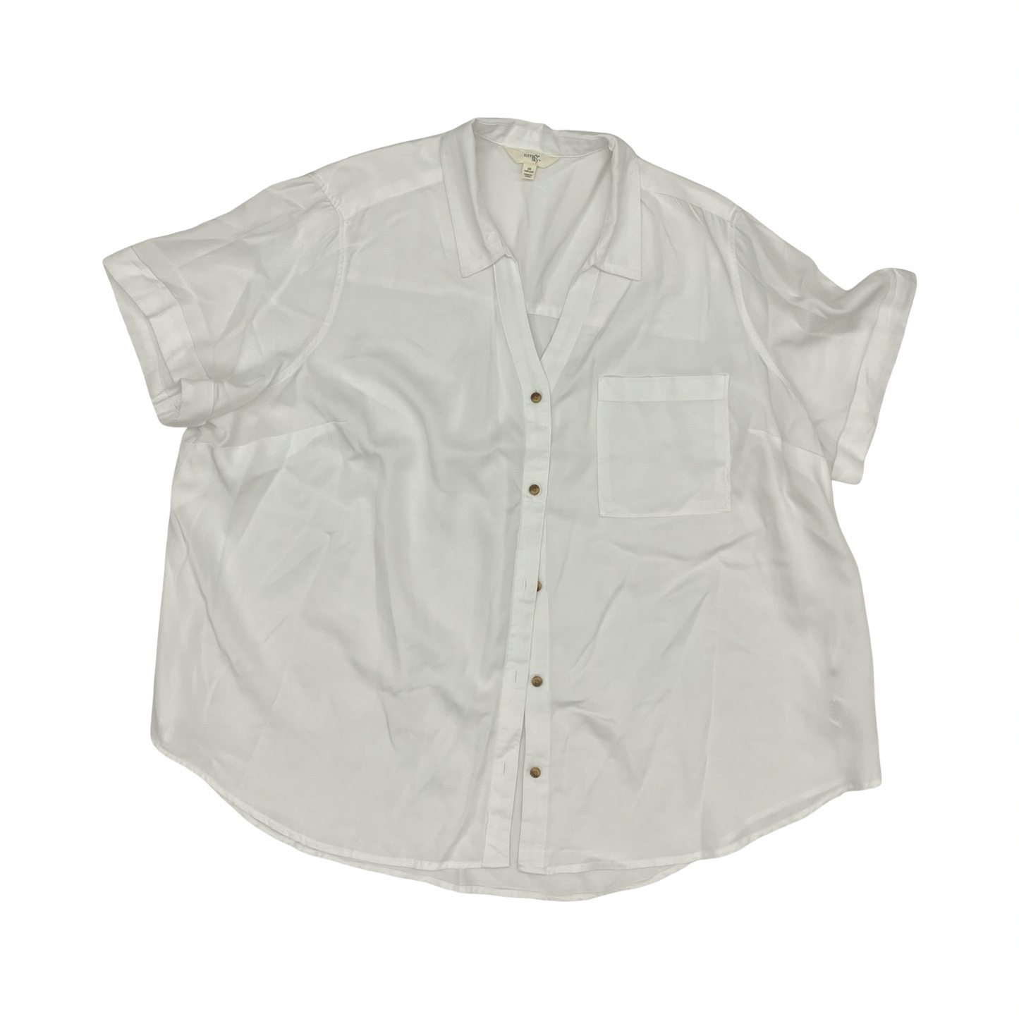 Top Ss By Terra & Sky In White, Size:2X