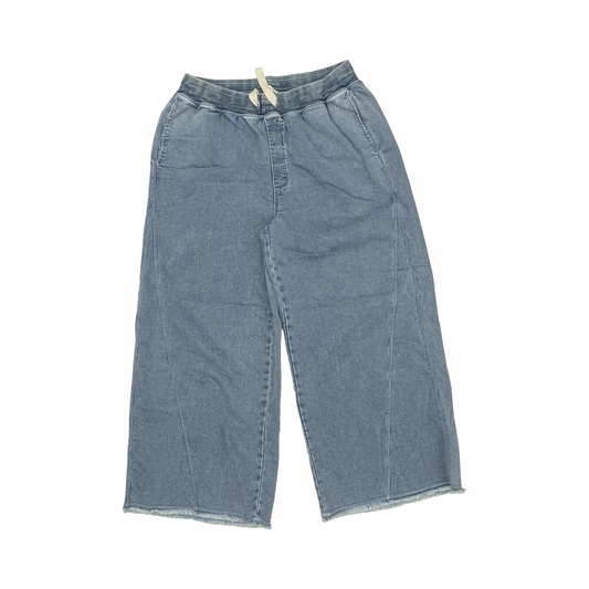 Pants Wide Leg By Aerie In Blue, Size:Xl